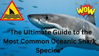 "The Ultimate Guide to the Most Common Oceanic Shark Species"