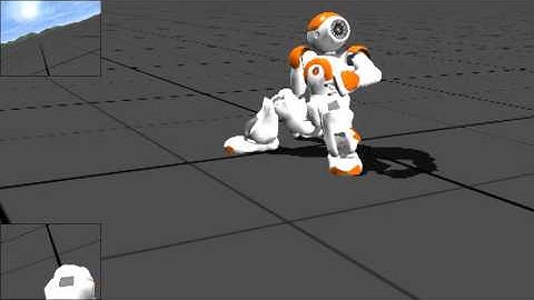 NAO in Action: From Stand to Sit