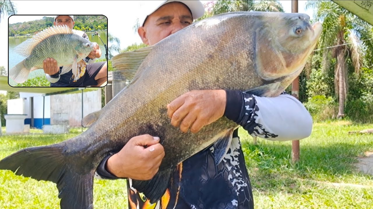 Pescaria no pesqueiro do Mingão, lago 5 e lago 3 | Paraiba Pescas Oficial 