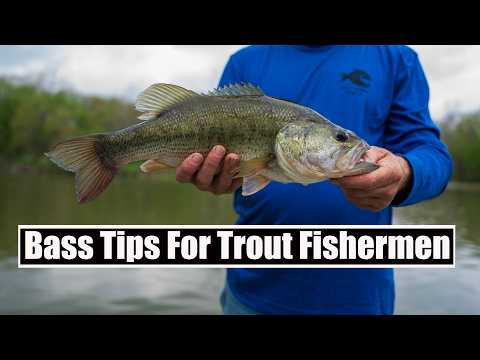 Bass Tips For Trout Anglers: What you NEED To Know