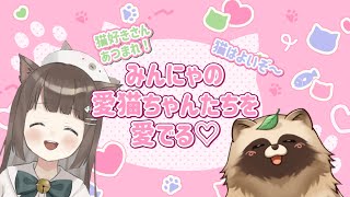 【誘導枠・初コラボ！】猫好きさん集まれ🐈　みんなの愛猫さんを愛でる🎶 #Vtuber #猫好きさんと繋がりたい #猫