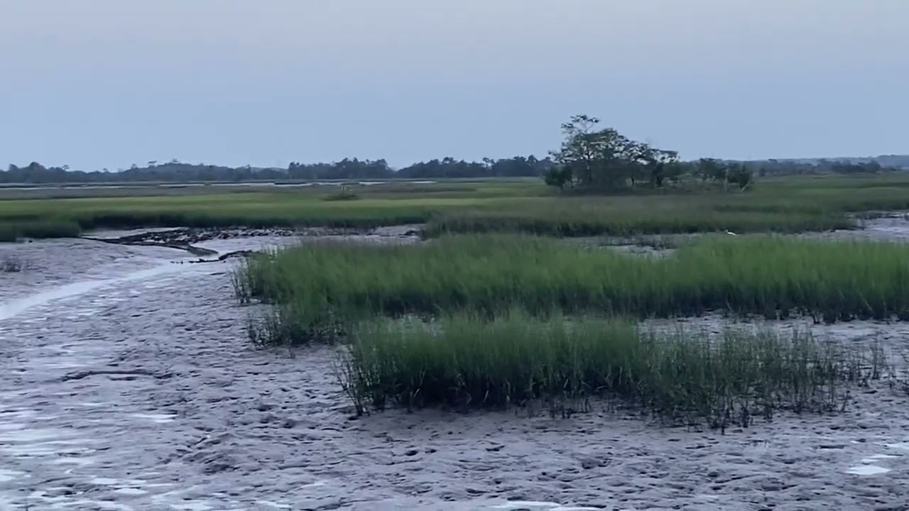 West Ashley Greenway