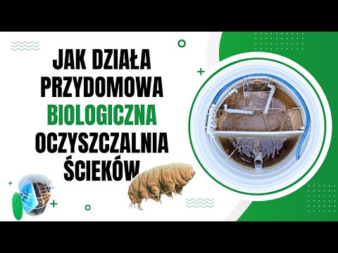 Wideo: Nowoczesne oczyszczanie ścieków: cechy, opis i rodzaje