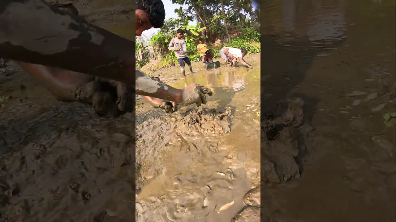 Pure Peace in Desi Fish | A Calm Village Feeling 