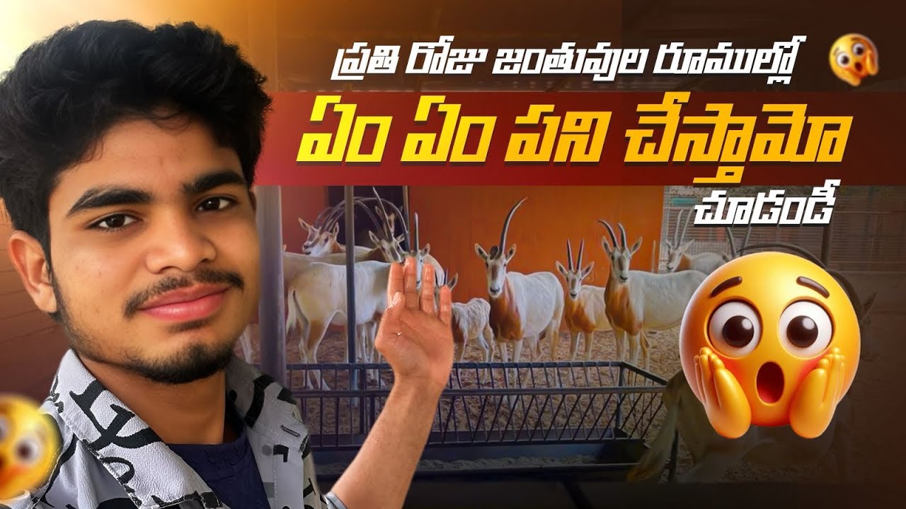 ప్రతి రోజు జంతువుల రూముల్లో ఏం ఏం పని చేస్తామో చూడండీ ॥every day work in animals rooms ॥ #animals 