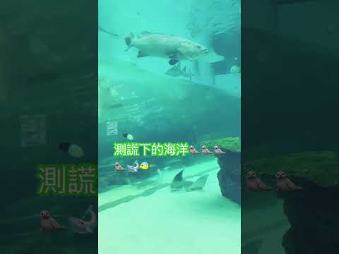 Stanley邱士縉 Mirrorweare 測謊 測謊下的海洋