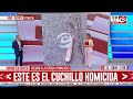 Horror en Devoto: este es el cuchillo homicida