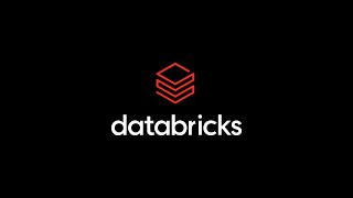 Databricks Animated Logo | Custom Logo Animation Service Data Bricks Logo