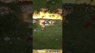 Diablo 2 ZY-EL mod with my boyfriend Paladin-Druid part 1 👍😁😆🔥😎💓🍀❤️💯🌹