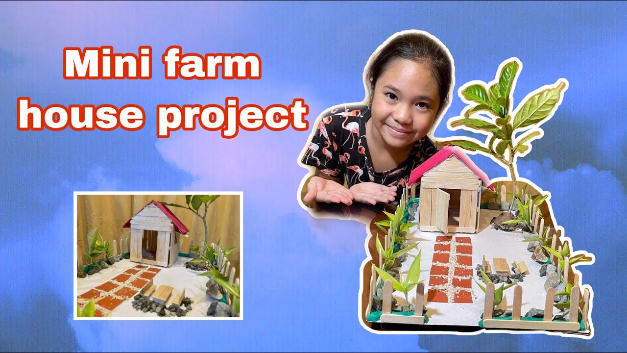 Mini farm house project