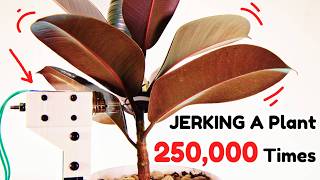 I Shook This Plant 250,000 Times. Here's What Happened.