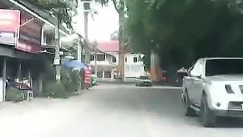 Tree Suddenly Falls Just in Front of Driver || ViralHog