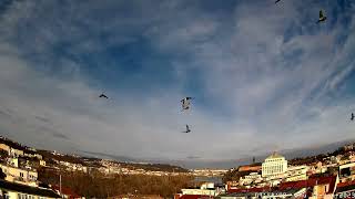 20230112 Prague 4K timelapse