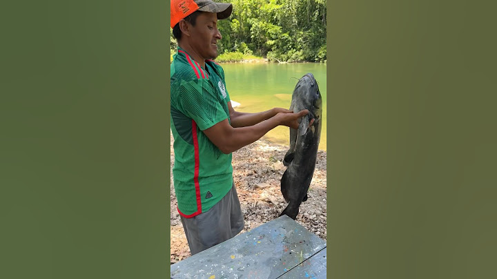 Cooking a giant catfish #fishing #fish #river