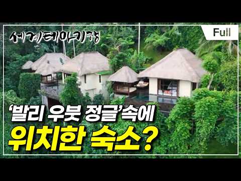 [Full] 세계테마기행 - 중년의 여행법, 인도네시아 - 은퇴 후엔 <strong>발리</strong>