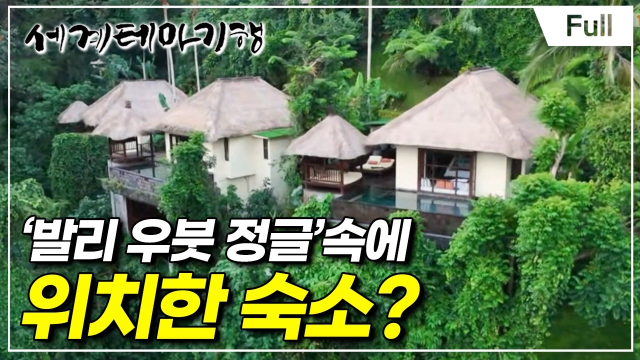 [Full] 세계테마기행 - 중년의 여행법, 인도네시아 - 은퇴 후엔 발리