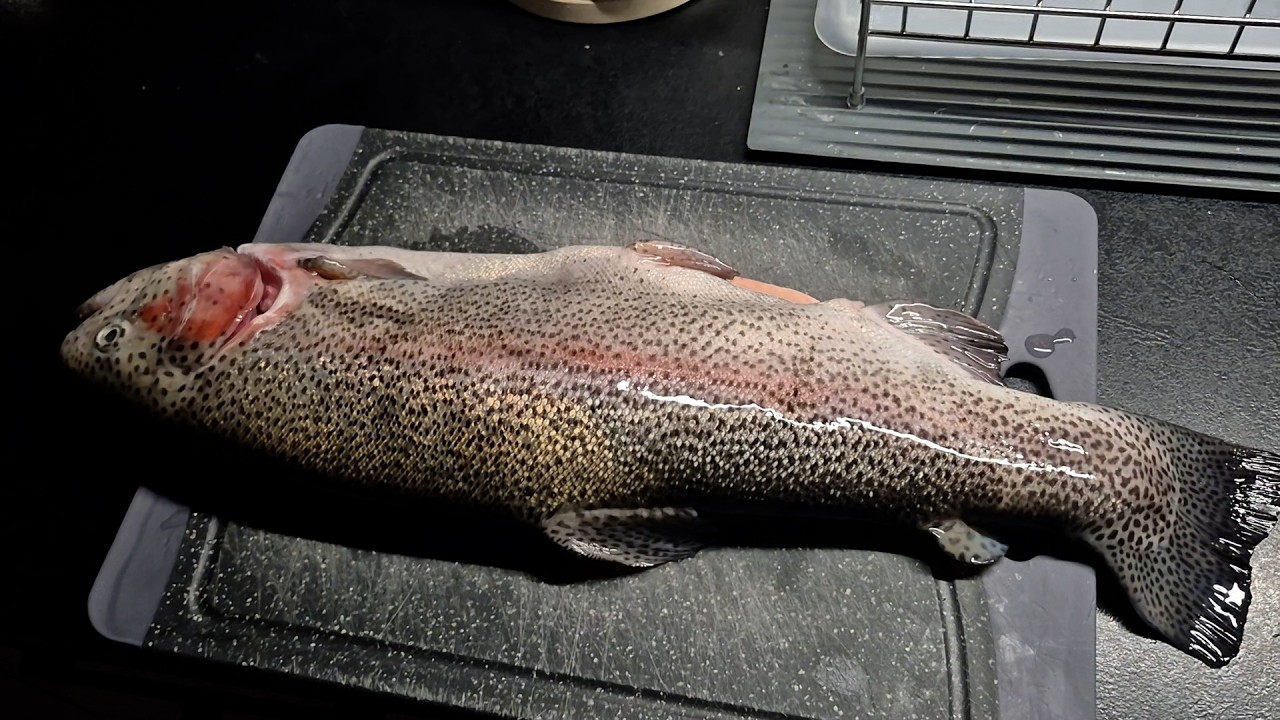 19.02.26 Част. 2 // РИБУ🐟🐟🐟 все ж таки ВПОЛЮВАЛА//