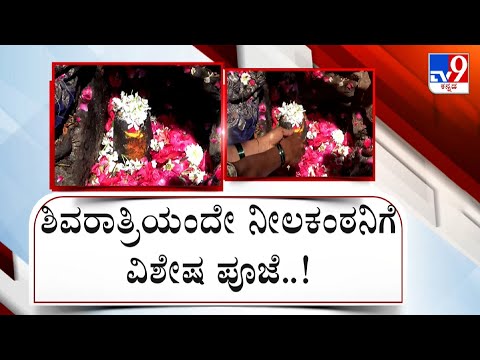 Kalaburgi | ದರ್ಗಾದಲ್ಲಿ ಶಿವಲಿಂಗ ಪೂಜೆ ವೈಭವ ಖಾಕಿ ಭದ್ರಕೋಟೆಯಲ್ಲಿ ಮೇಳೈಸಿತು ಭಕ್ತಿಭಾವ