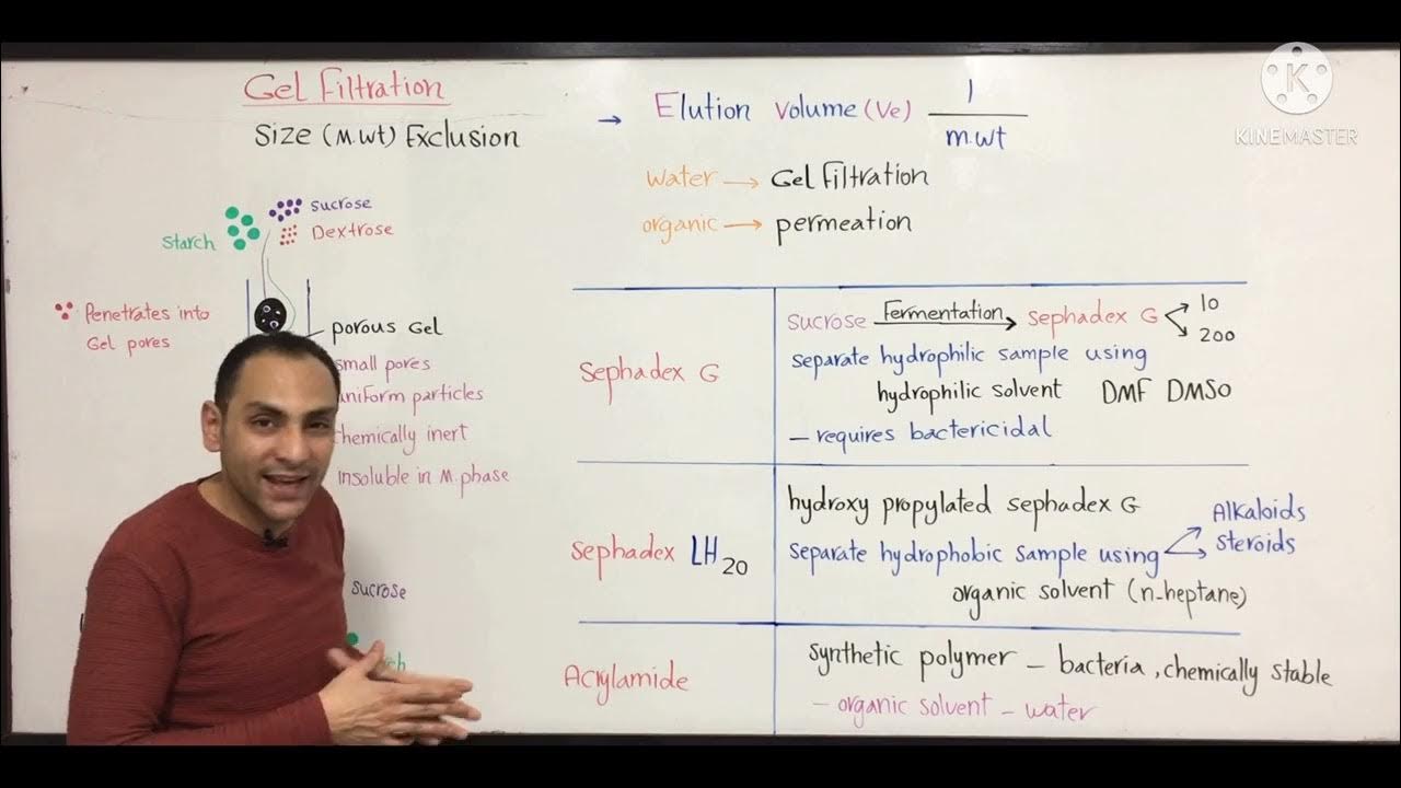 Gel filtration chromatography - YouTube