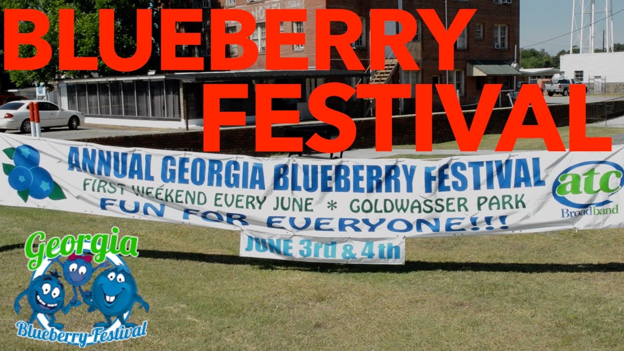 Blueberry Festival 2016! YouTube