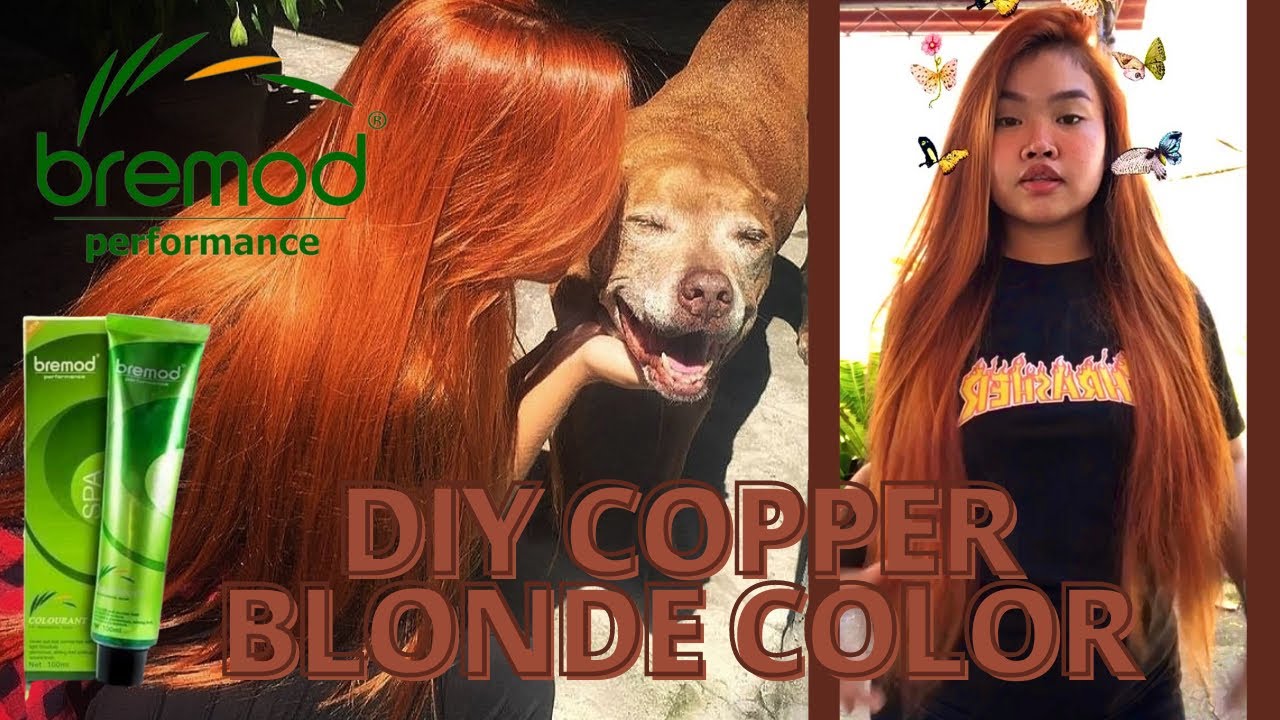 4. "Copper and Blonde Lowlights" - wide 11