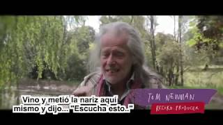 mike oldfield "turning back the clocks" Spanish Subtitles