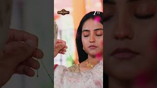 Lakshmi Niwas | EP 122 | Zee TV UK