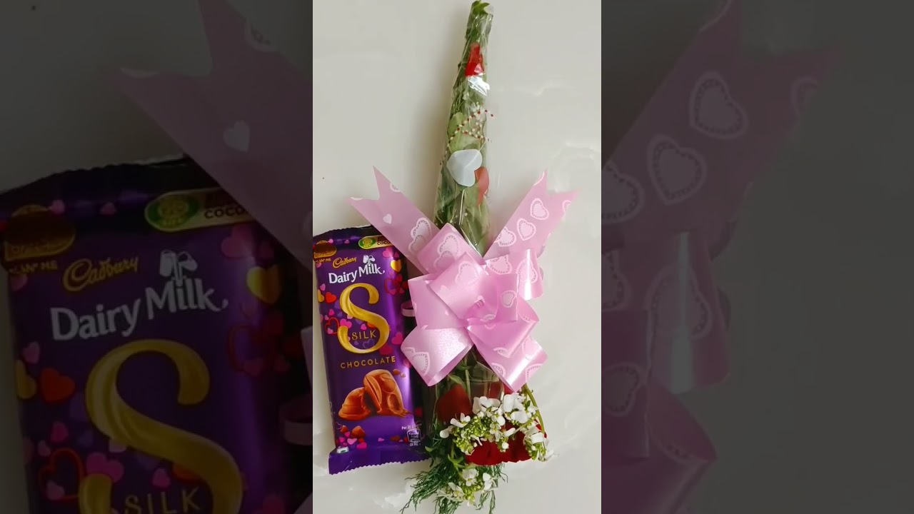 Valentine's Day | Jyoti Sikka Vlogs |