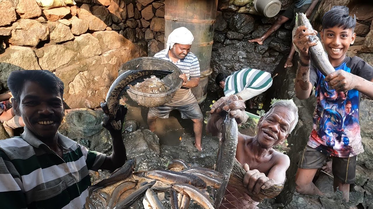 അടിപ്പറ വറ്റിച്ചൊരു കിടുക്കാച്ചി മീൻപിടുത്തം🐬😱traditional fishing|kerala fishing|village fishing|