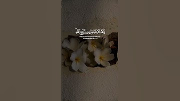 و لا تيأسوا من روح الله إنه لا ييأس من روح الله إلا القوم الكافرون || سورة يوسف ||القارئ: اسلام صبحي