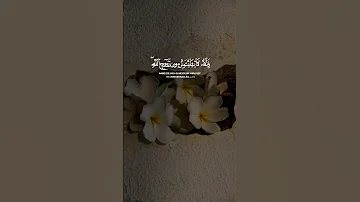 و لا تيأسوا من روح الله إنه لا ييأس من روح الله إلا القوم الكافرون سورة يوسف القارئ اسلام صبحي 