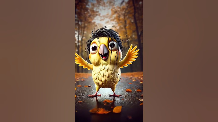 the cute parrot wanted to be handsome but....😱💀 funny hair is the dangerous hair