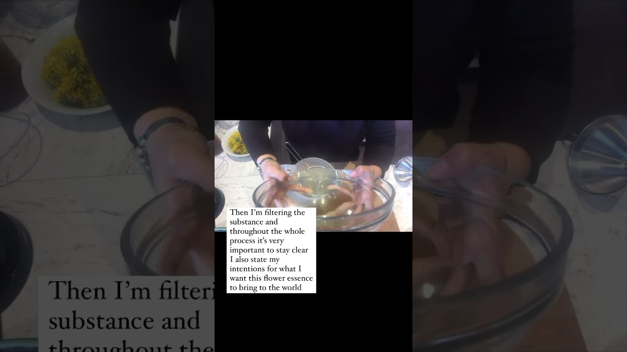 Final steps of making Dandelion Flower Essence