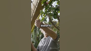 The Square Farm Puzzle – Can You Solve It? #riddle #shorts