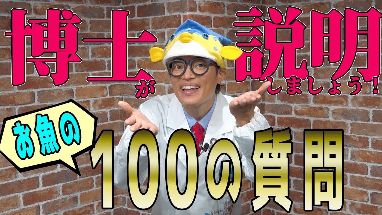 【そもそもお魚って何？】素朴なお魚の質問をお魚博士がお答えいたします！【質問募集中】