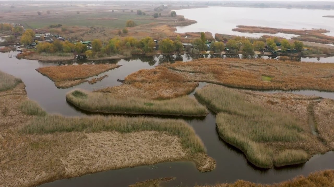 No Copyright Village Music | Authentic Indian Rural BGM | Desi Folk Vibes