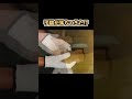 誰もいない部屋から子猫の声が...行ってみると驚きの光景が...!#shorts #short #cat#猫 #子猫