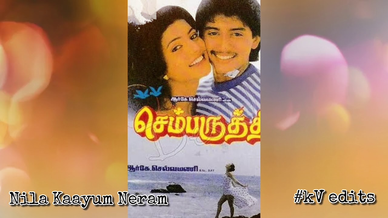 Nila Kaayum Neram saranam l Ilayaraja l Tamil HQ songs collections