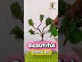 Make Bonsai from Normal Plant | Easy Trick! Cypress Bonsai Transformation 🌿 Before &amp; After! #shorts