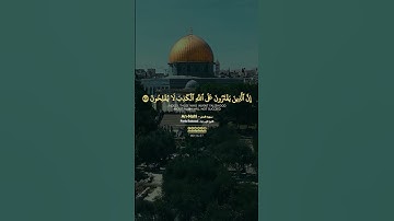﴿وَلَا تَقُولُوا لِمَا تَصِفُ أَلْسِنَتُكُمُ الْكَذِبَ هَٰذَا حَلَالٌ وَهَٰذَا حَرَامٌ  #الآيات