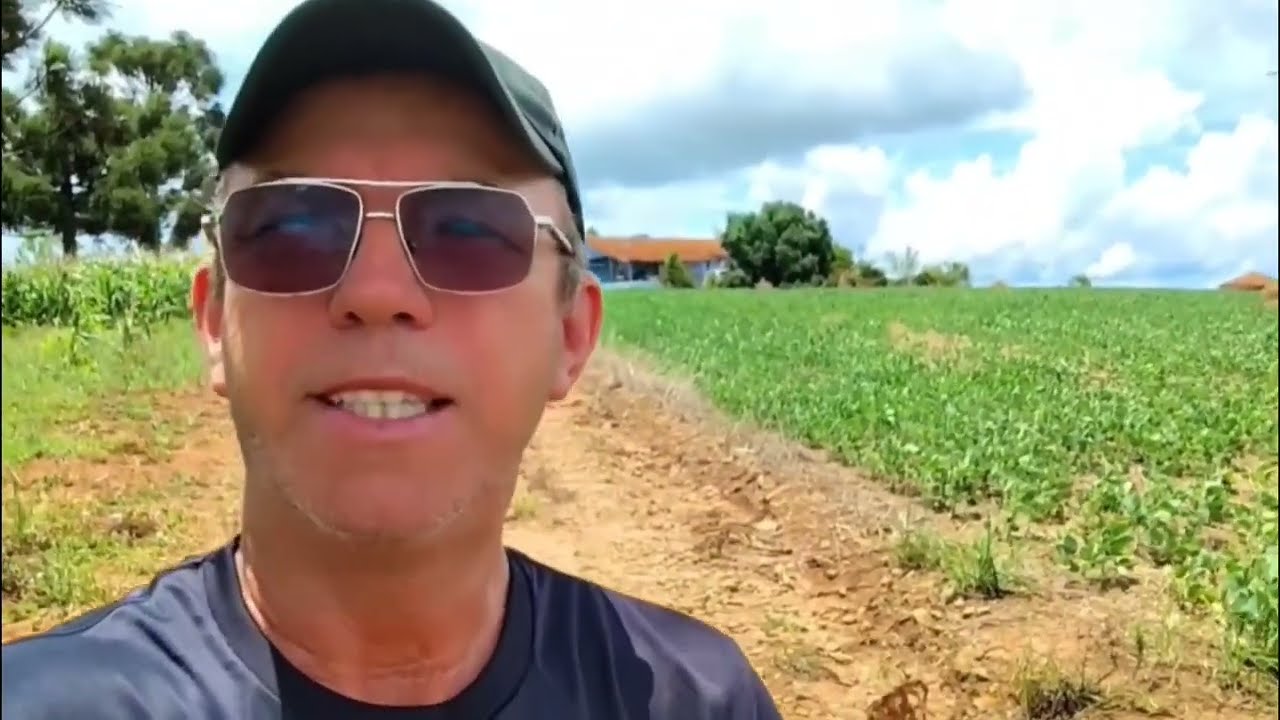 SITIO   64.000m2 COM 2 CASAS ESCRITURA REGISTRADA  PINHALÃO PR  R$400 mil