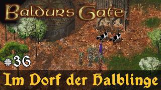 #36: Im Dorf der Halblinge ✦ Let's Play Baldur's Gate 1 (EE) ✦ Slow-, Long- & Roleplay