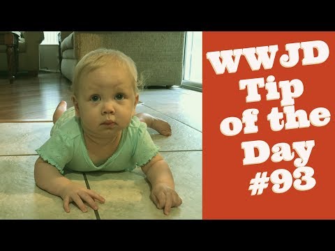 your-happiness,-what-would-jeff-do?-dog-training-tip-of-the-day-#93