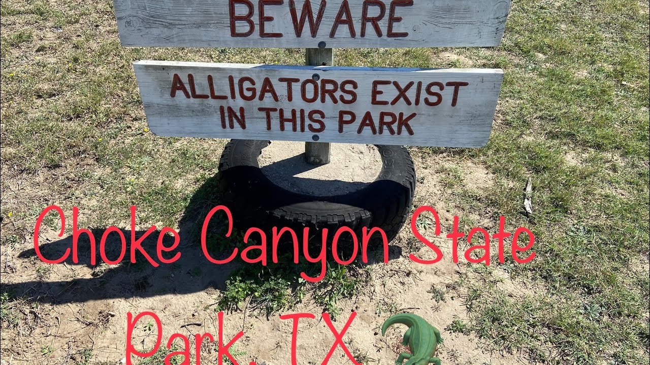 Choke Canyon State Park, TX birder’s paradise, beware of alligators