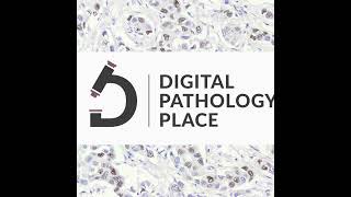 159: What If Your AI Tool Is Lying: Hidden Bias in Pathology Algorithms