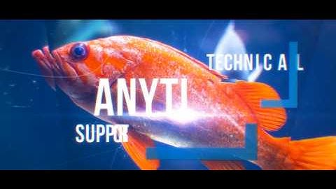 Elegant Dynamic Slideshow| VideoHive Templates | After Effects Project Files