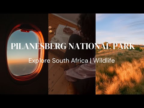 Pilanesberg National Park | Explore South Africa | Things to do ||