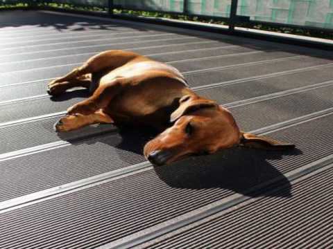 Best Decking Material 2016 You Best Decking Material 2016 You