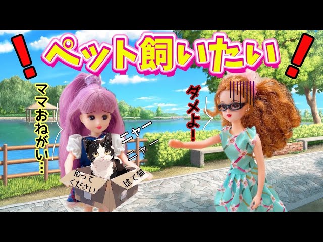 Licca-chan] 🐾I want to have a pet🐈‼️I picked up a stray cat and