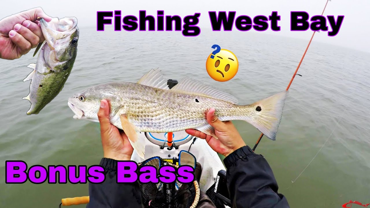Fishing Galveston West Bay Flats for a Red Drum and a Bonus Bass YouTube
